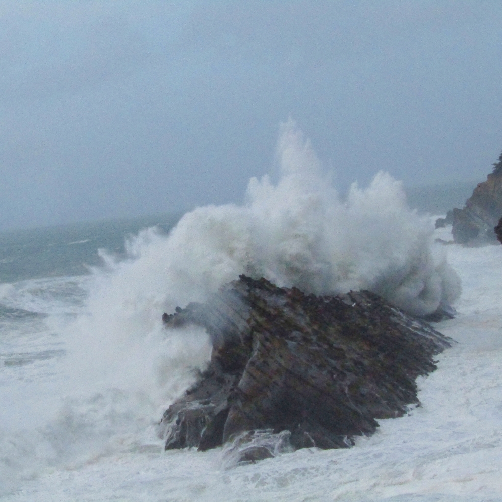 Meet your Posher, Annette